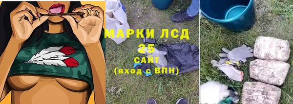 сатива Алексин